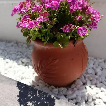 Lord Complex Apart-hotel 3*